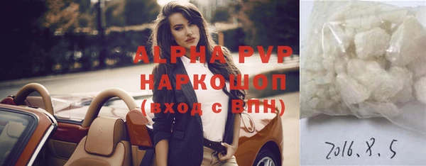 прущие грибы Арсеньев