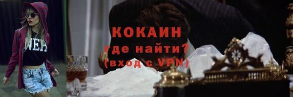 прущие грибы Арсеньев