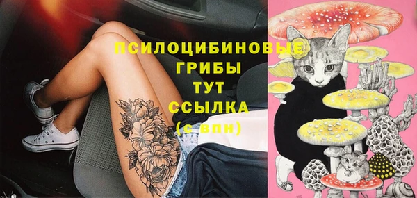 прущие грибы Арсеньев