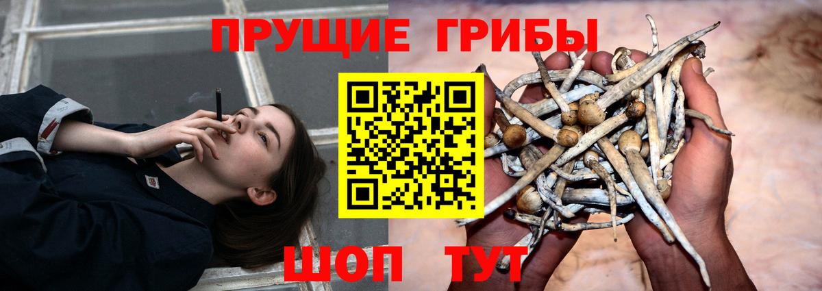 Псилоцибиновые грибы Cubensis  Вход с VPN  Галлюциногенные грибы ЛСД  где продают наркотики  Барабинск 
